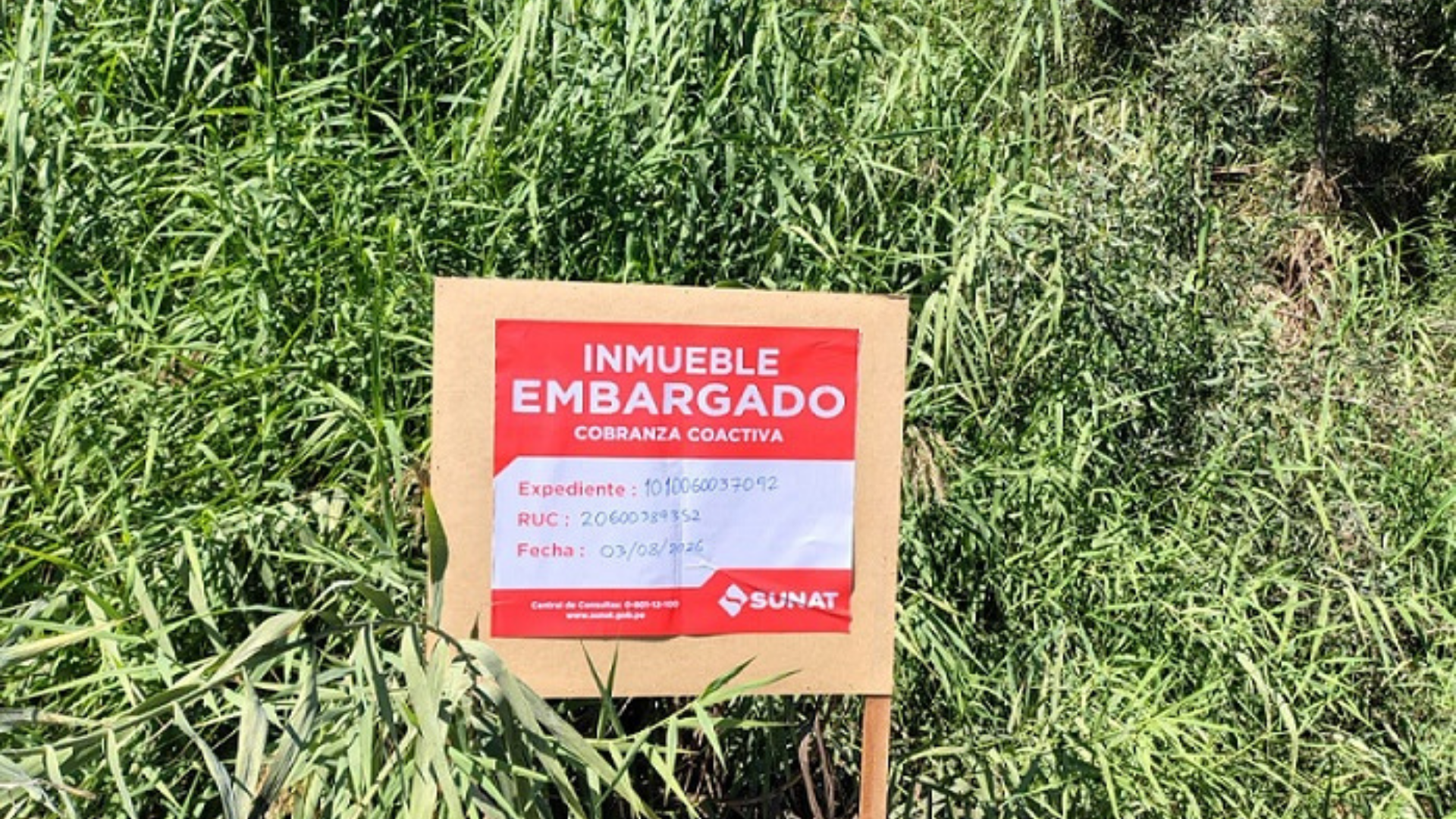 Lote 08